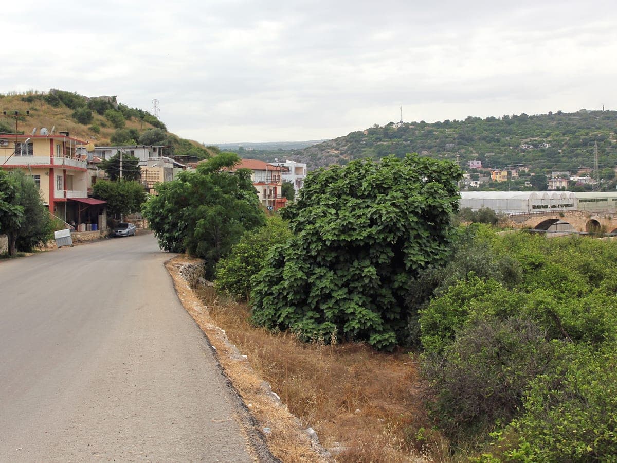 Limonlu'da köy yolu, bahçeler ve arkada Limonlu Çayı köprüsü